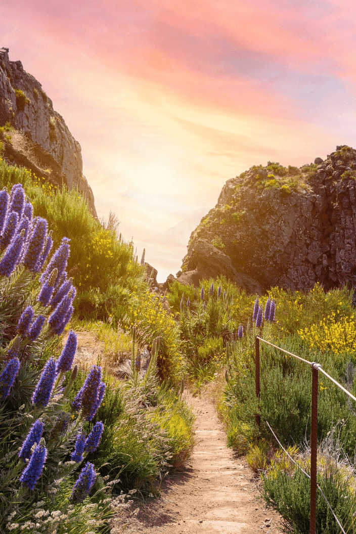 Madeira Mountains